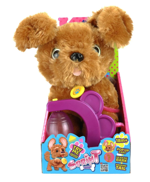 Sevimli Koşu Arkadaşım Golden