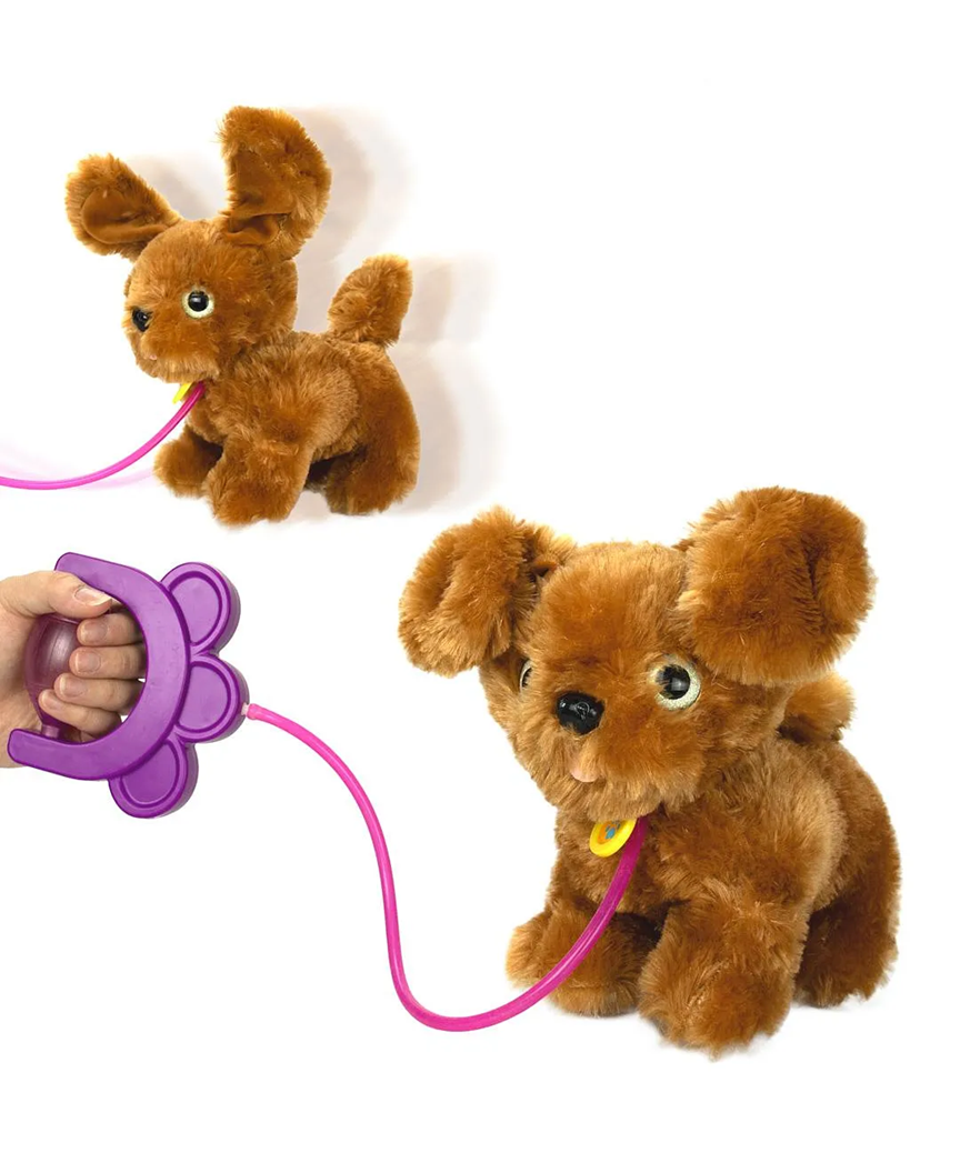 Sevimli Koşu Arkadaşım Golden