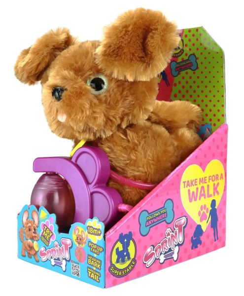 Sevimli Koşu Arkadaşım Golden