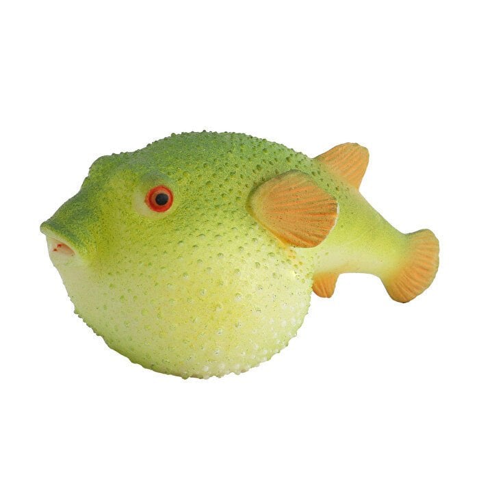 Stretch Balon Balığı