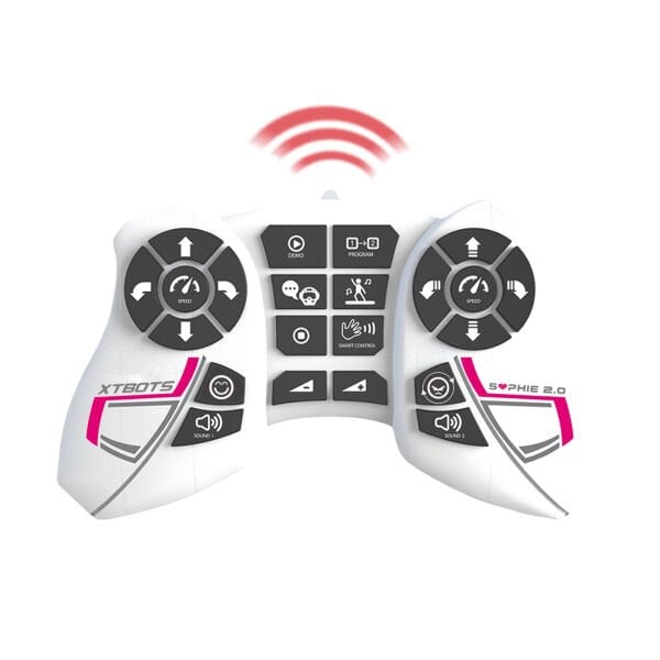 Yürüyebilen Kumandalı Sesli Robot Sophie