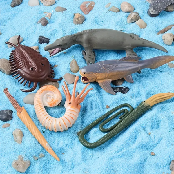 12 Parça Tüpte Deniz Hayvanları Seti