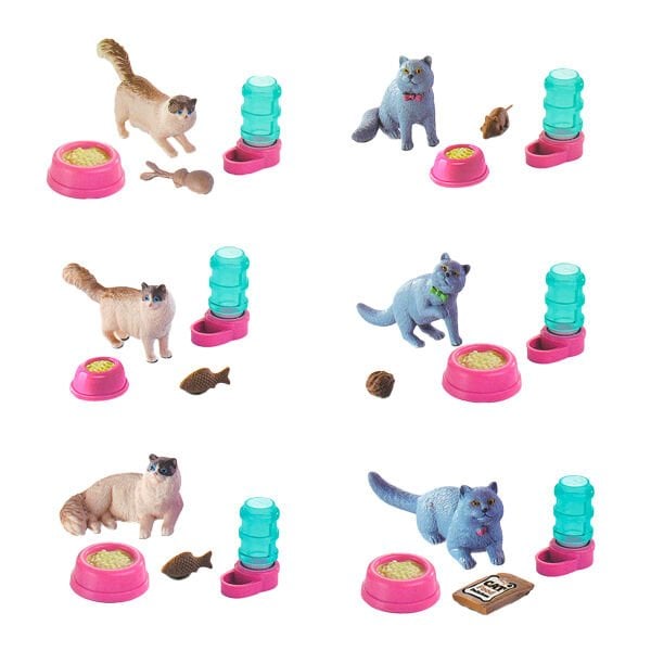 Evcil Hayvan Yavru Kedi Sürpriz Paket