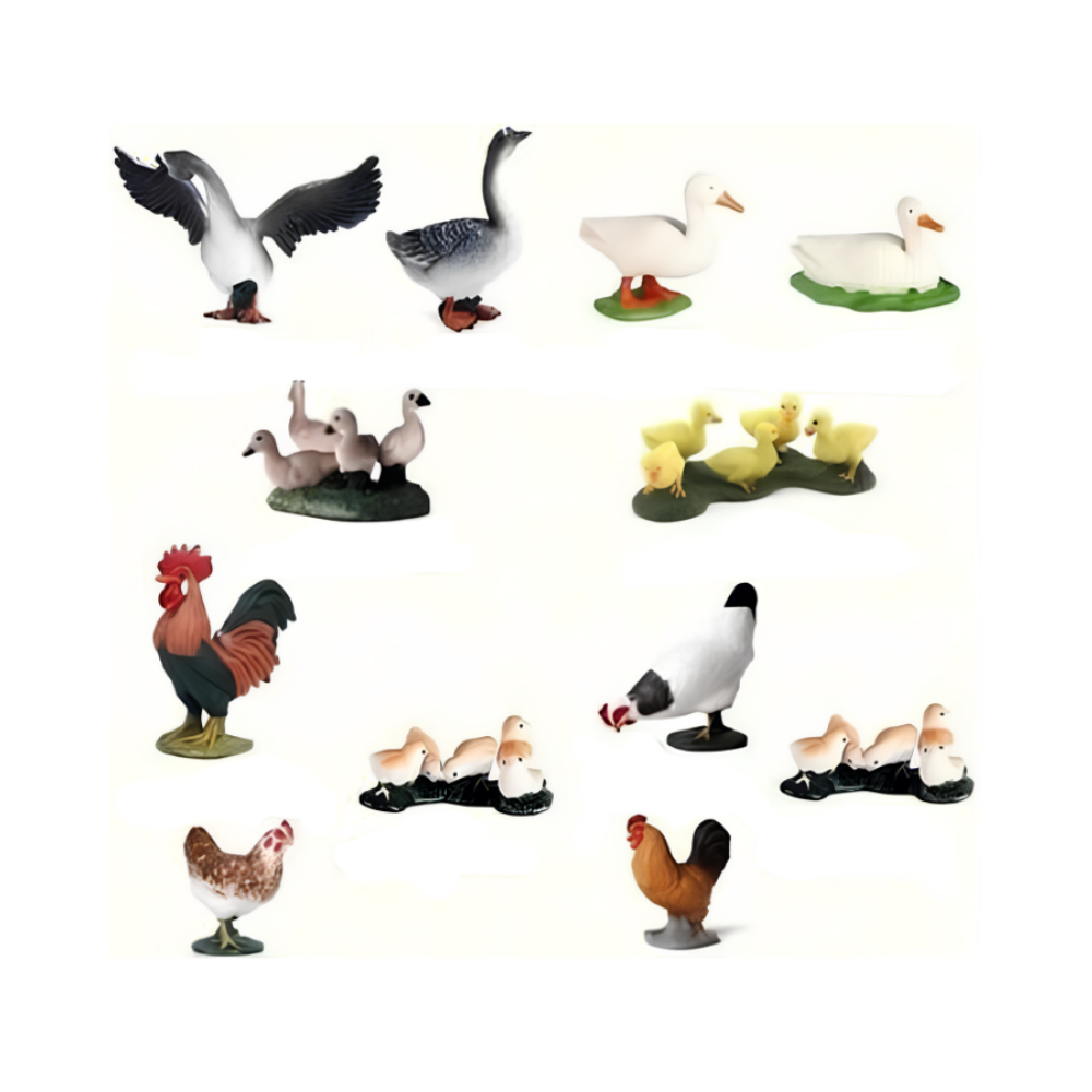 6'lı Kümes Hayvanları Hayvan Seti (2 Asorti)