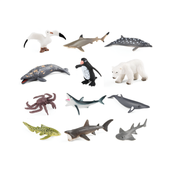 6'lı Deniz Canlıları Hayvan Seti (2 Asorti)