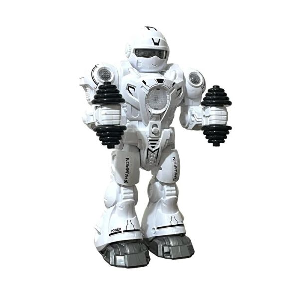 Uzaktan Kumandalı Pilli Robot (2 Asorti)