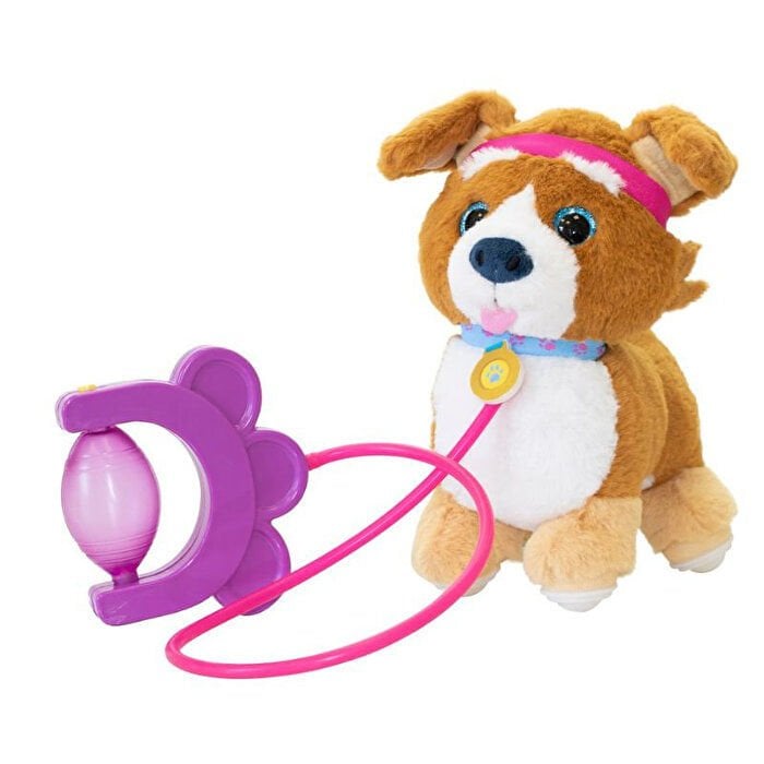 Sevimli Koşu Arkadaşım Latte