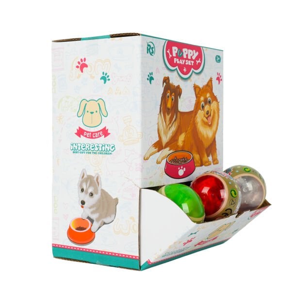 Evcil Hayvan Yavru Köpek Sürpriz Paket