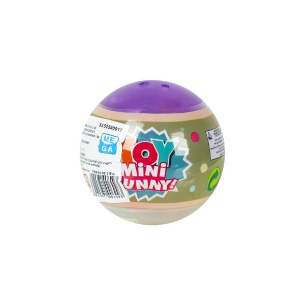 Evcil Hayvan Yavru Köpek Sürpriz Paket