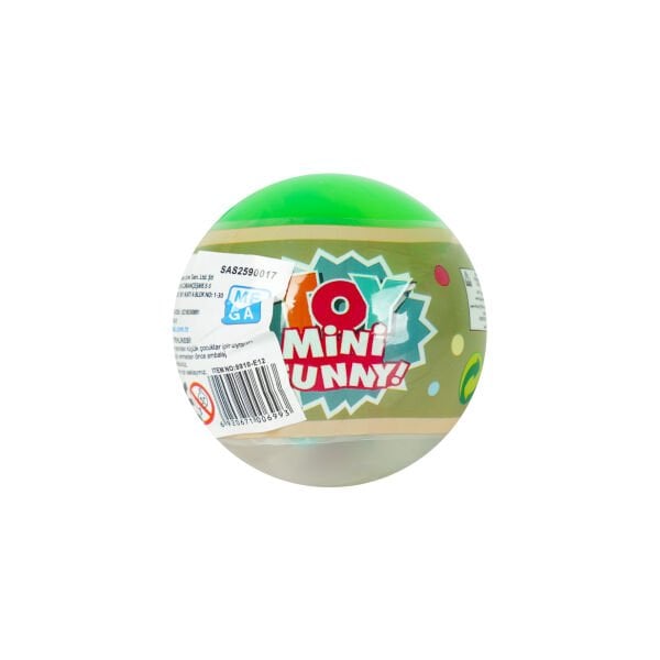 Evcil Hayvan Yavru Köpek Sürpriz Paket