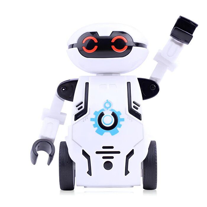 İki Tekerlekli Mini Robot