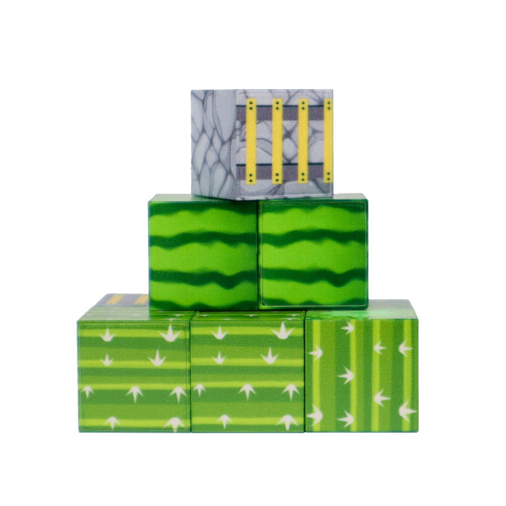 9 Parça Karpuz, Merdiven ve Kaktüs Desenli Manyetik Bloklar