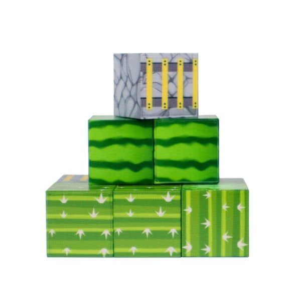 9 Parça Karpuz, Merdiven ve Kaktüs Desenli Manyetik Bloklar