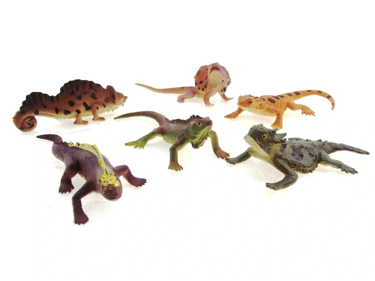 6lı Sürüngen Hayvanlar