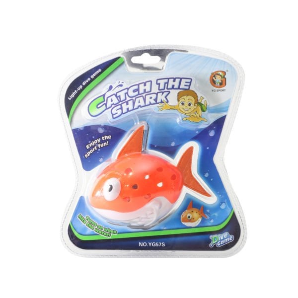 Işıklı Köpekbalığı (3 Asorti)