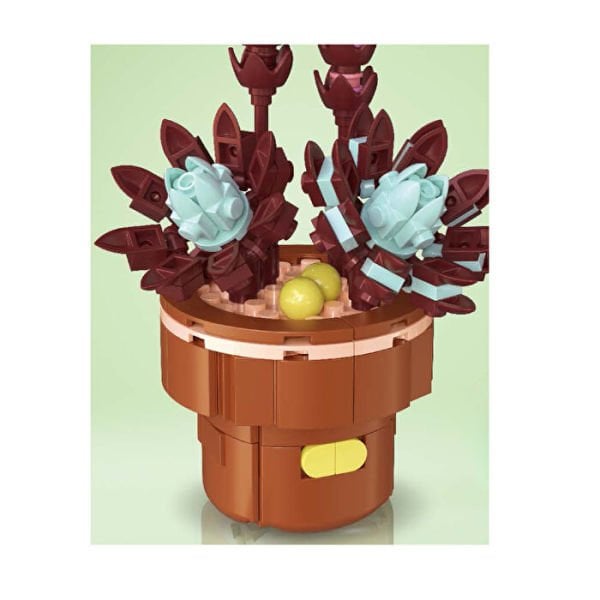 Blok Çiçek Sukulent 188 Parça