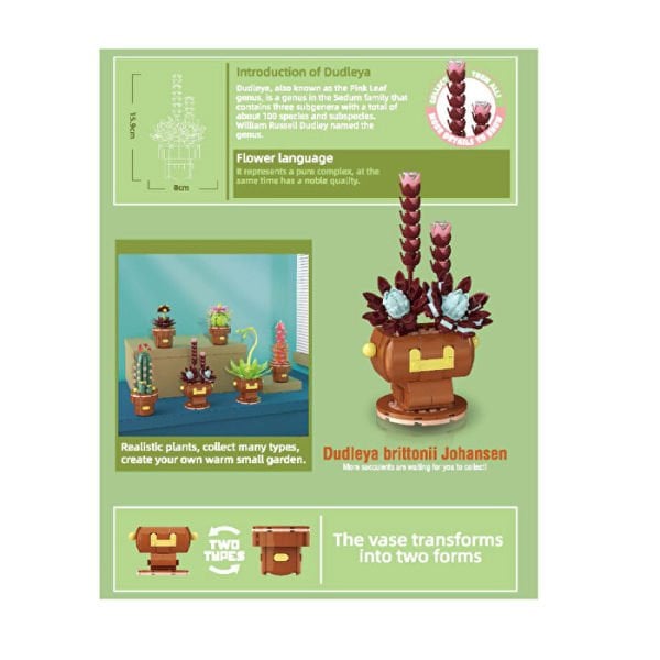 Blok Çiçek Sukulent 188 Parça