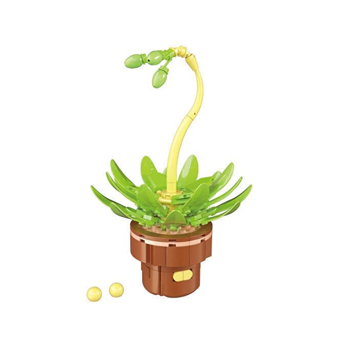 Blok Çiçek Sukulent 152 Parça