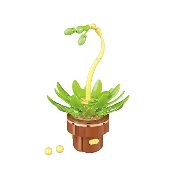 Blok Çiçek Sukulent 152 Parça