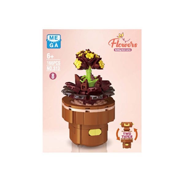 Blok Çiçek Saksıda Sukulent 166 Parça