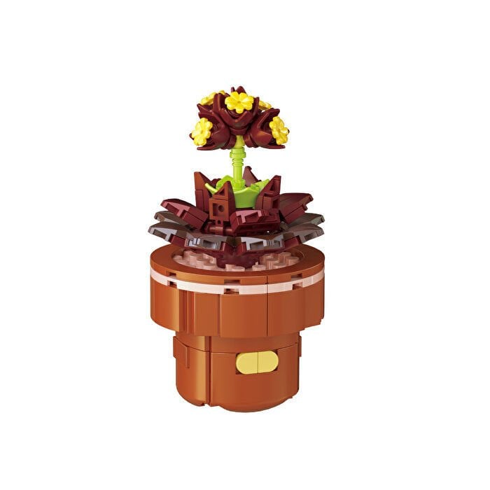 Blok Çiçek Saksıda Sukulent 166 Parça