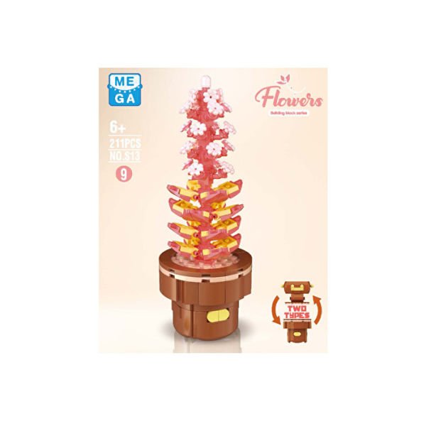 Blok Çiçek Sukulent 211 Parça