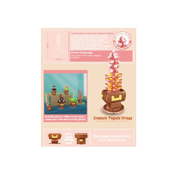 Blok Çiçek Sukulent 211 Parça