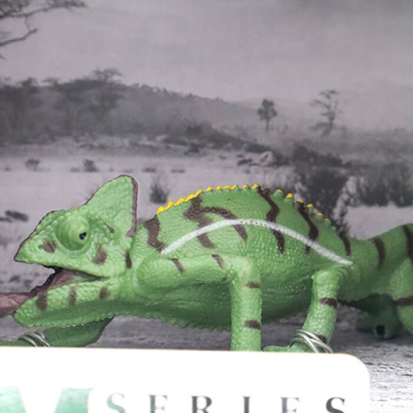 Animal World Sürüngen Serisi (4 Asorti)