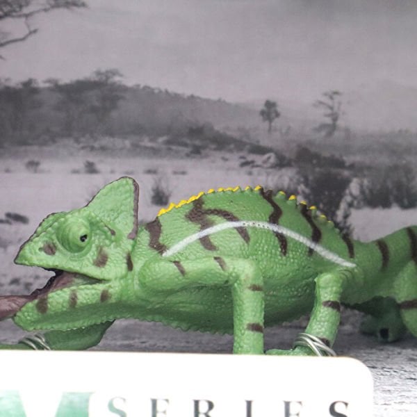 Animal World Sürüngen Serisi (4 Asorti)