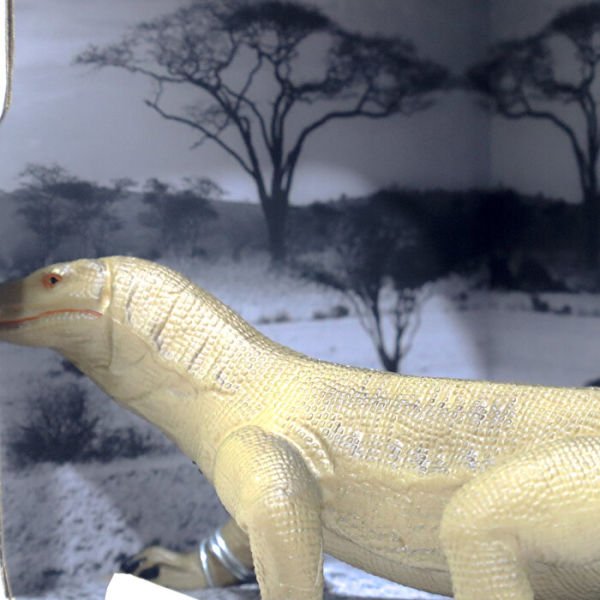 Animal World Sürüngen Serisi (4 Asorti)