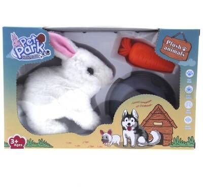 Pet Park Yürüyen Tavşan