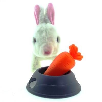 Pet Park Yürüyen Tavşan