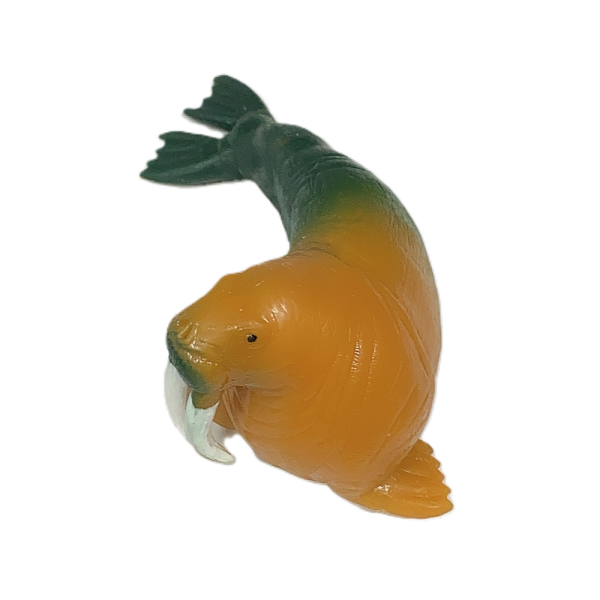 Stretch Fok Balığı