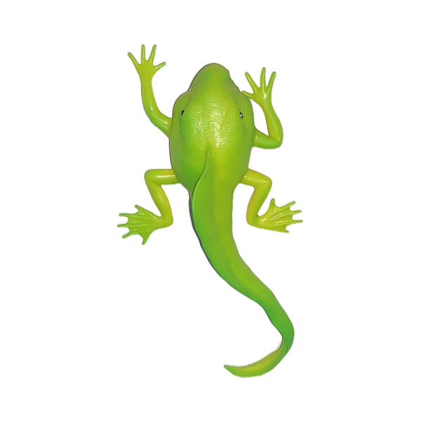 Stretch Yeşil Kertenkele