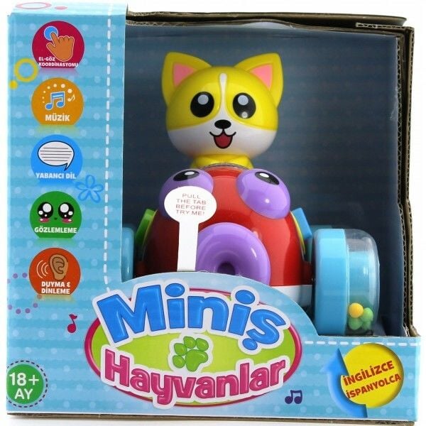 İngilizce ve İspanyolca Konuşan Sevimli Kedi