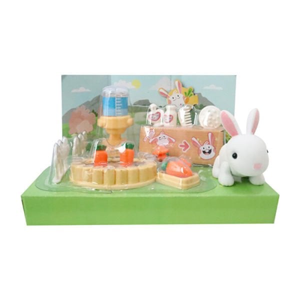 Pet Care Aksesuarlı Oyun Seti  (4 Asorti)