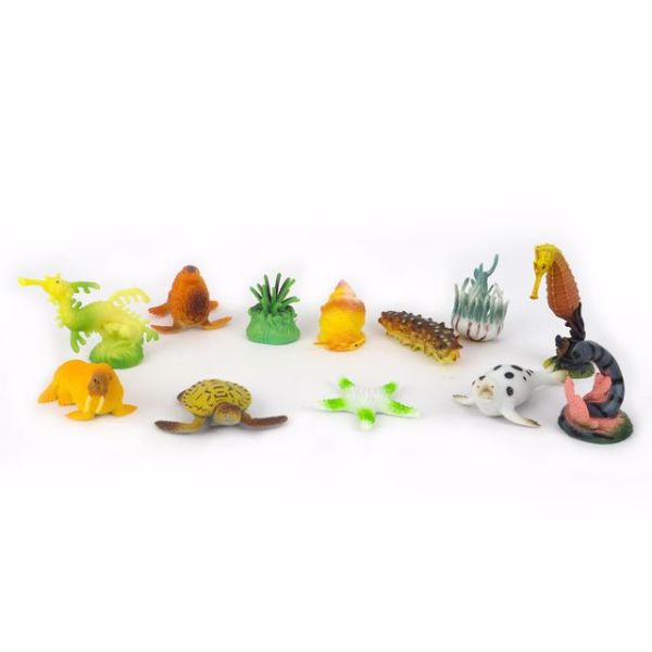 Denizaltı Dünyası Poşetli Hayvanlar S2